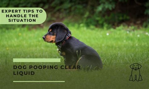pooping clear water